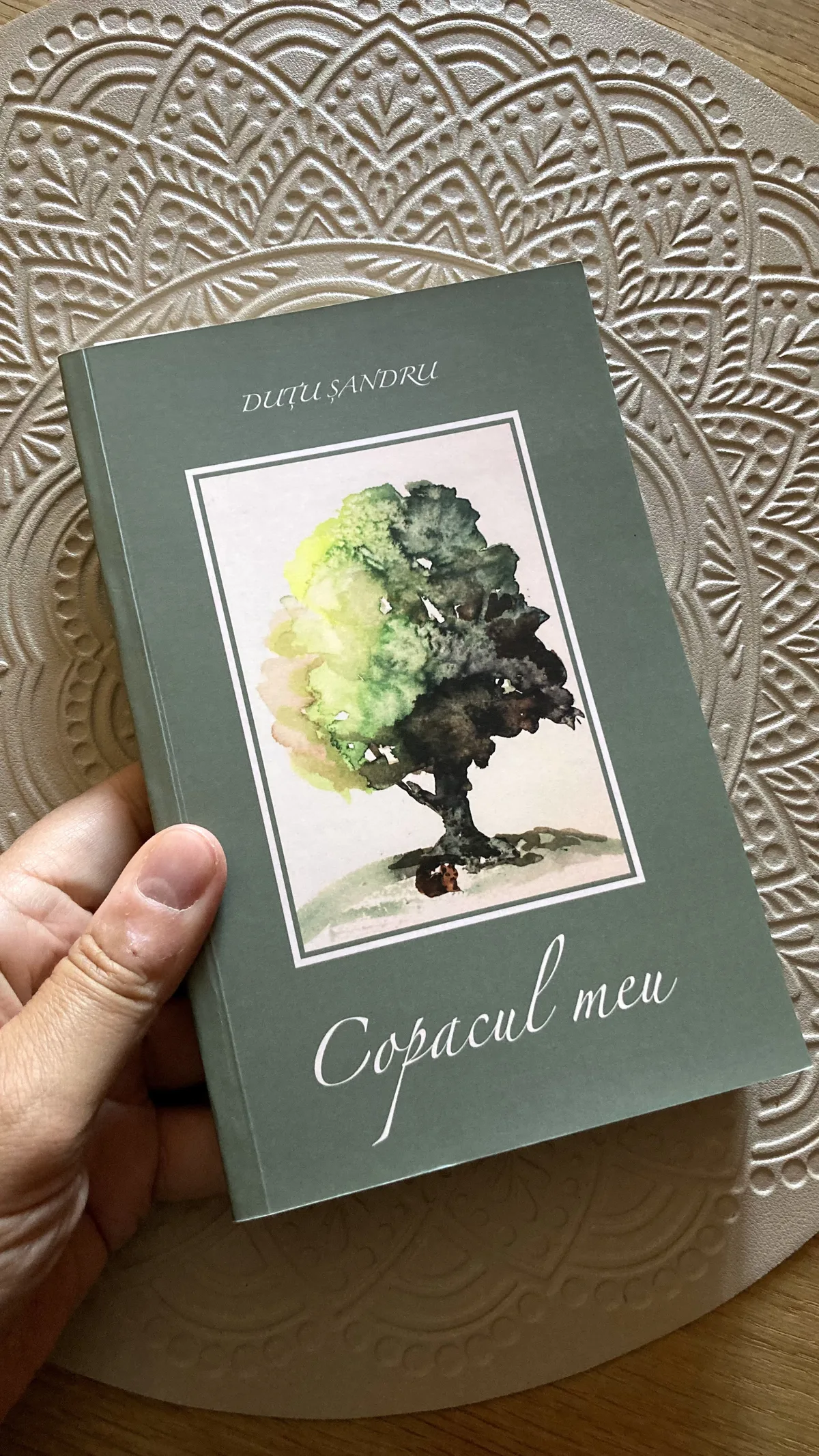 Copacul meu – fotografie 1